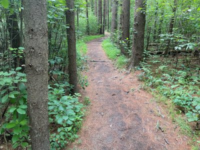 Hiking Path